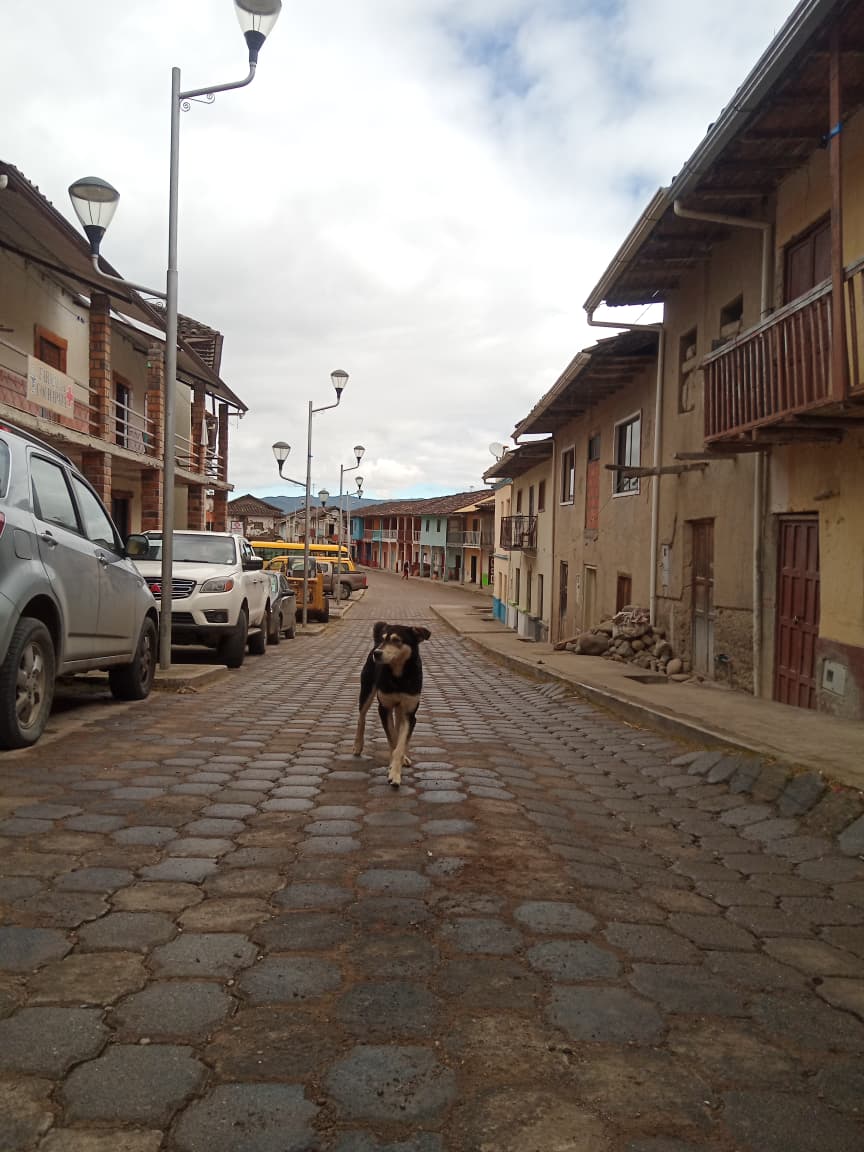 Calle patrimonial colonial